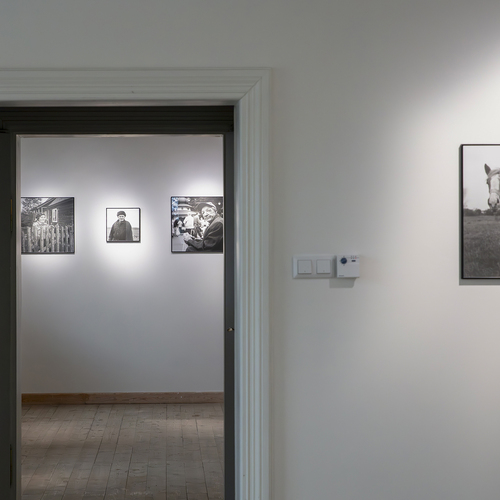 Fragment wystawy fotograficznej z czarno-białymi portretami, w tym zdjęciem mężczyzny stojącego z koniem na tle wiejskiego krajobrazu.